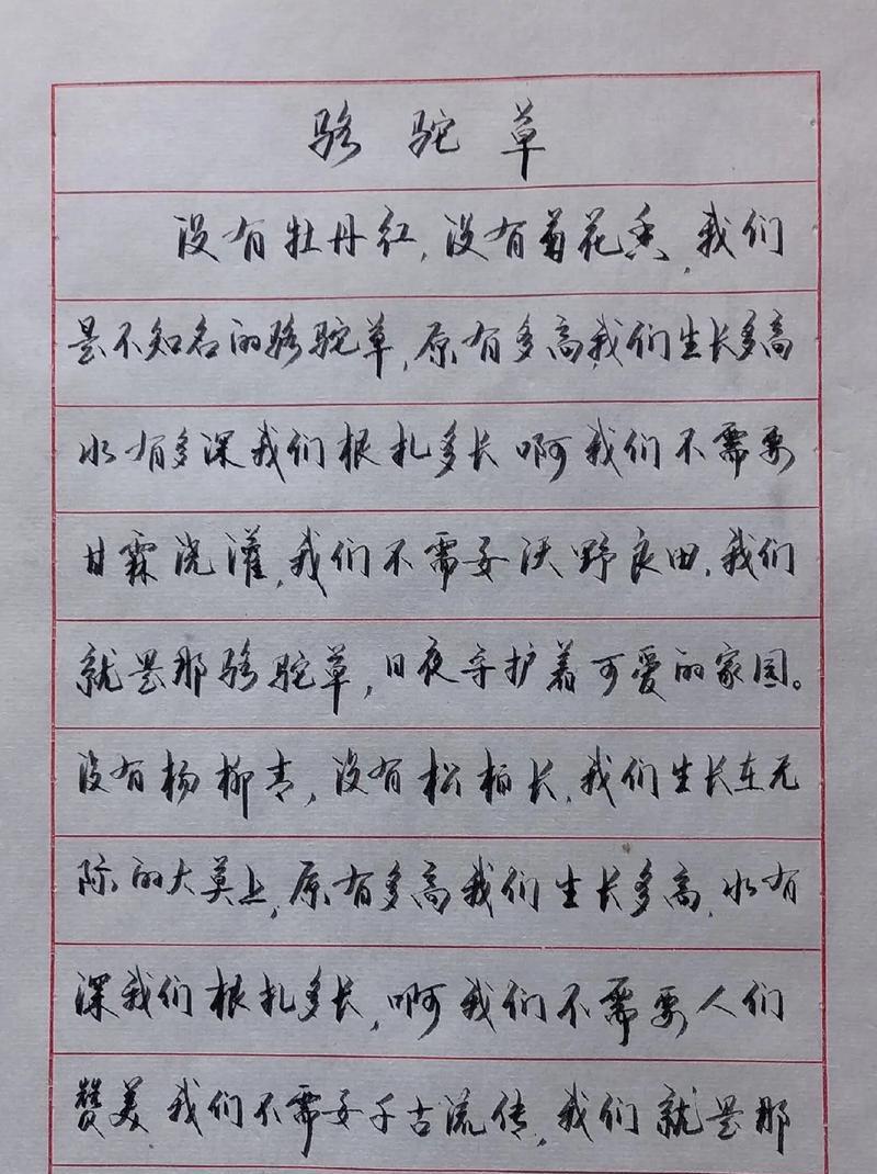 无私奉献的力量（无私奉献的力量）