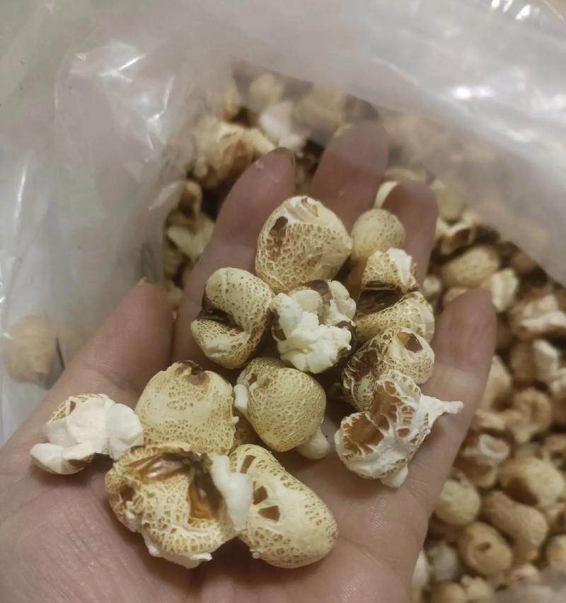 人类记忆中最甜蜜的那一份（人类记忆中最甜蜜的那一份）