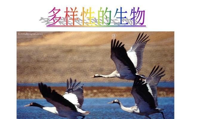 爱自然，从我做起（我们都是大自然的守护者）