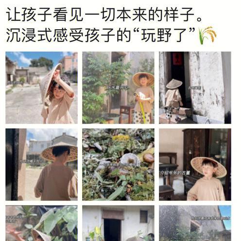 秋风里的告别（纸鹤飞舞）