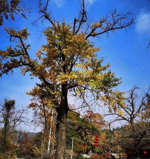 一段关于味道和思念的故事（一段关于味道和思念的故事）