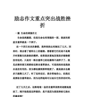 困境中的成长（以勇气战胜自我）