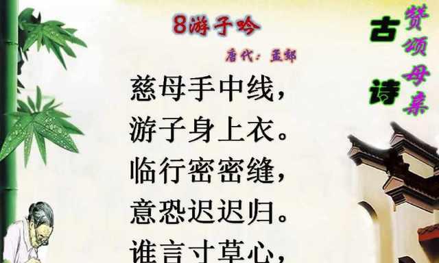 母亲——我心中的宝贝（世间最无私、最伟大的存在）