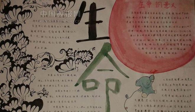 珍爱生命，善待生命（一个关于猫的故事）