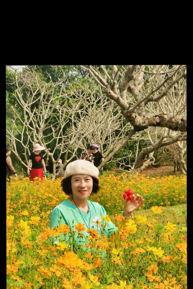 那个最美的微笑（一个因微笑而闪耀的人物）