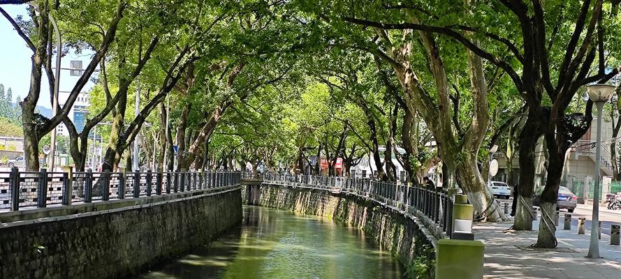 生命如溪（顺应生命的走向）