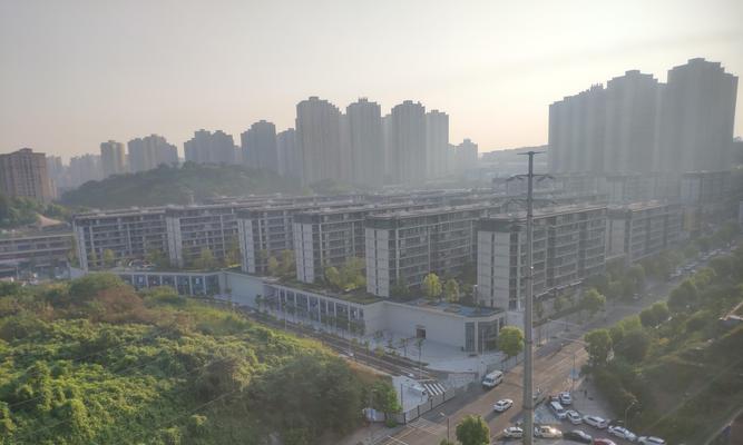 绿树成荫（人与自然的和谐之道）
