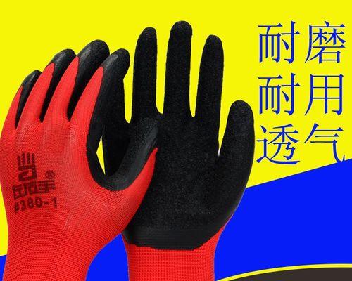 《回忆与展望》（二十年后的我）