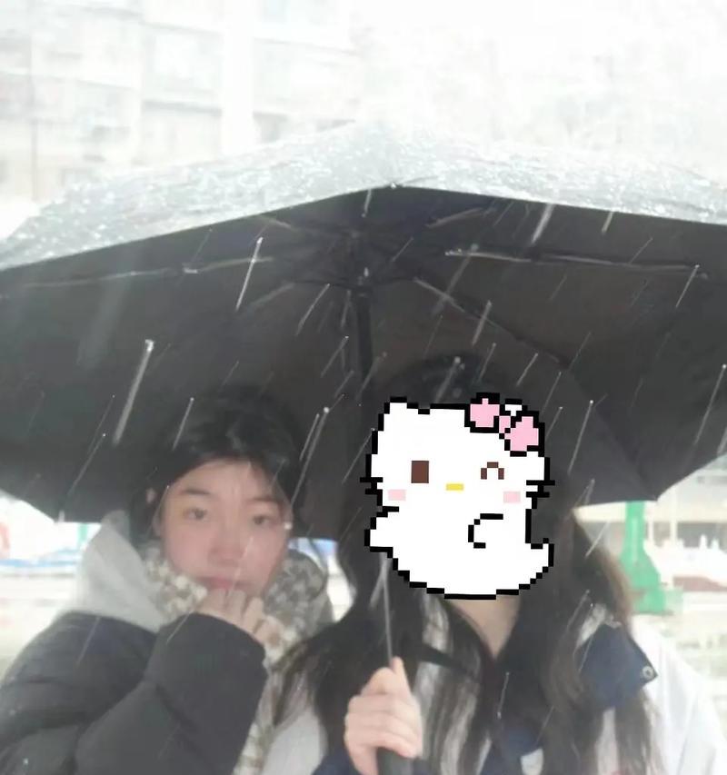 一个小女孩和她的偶遇（一个小女孩和她的偶遇）