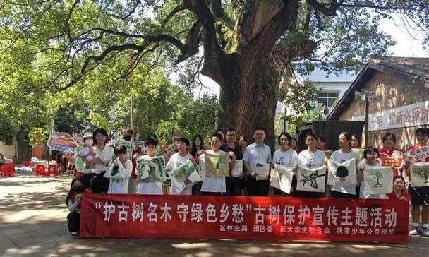 梦想是少年的帆（用梦想的力量航向未来）