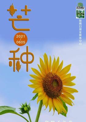 奋斗人生不畏困境（一个平凡人的壮志与奋斗）