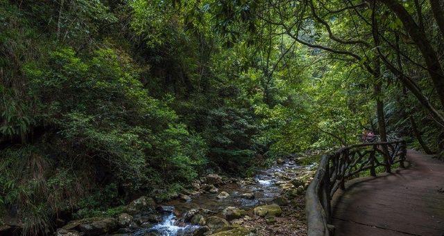 故乡之美（山清水秀，情系故土）
