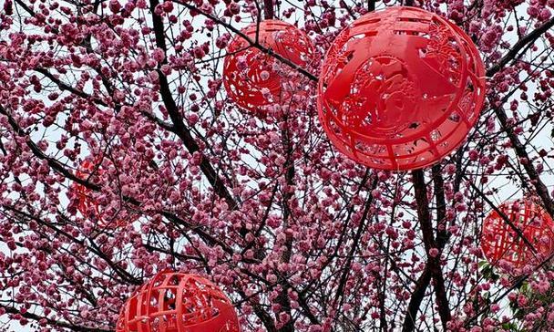花香四溢，春天到了（一场不同寻常的邂逅）