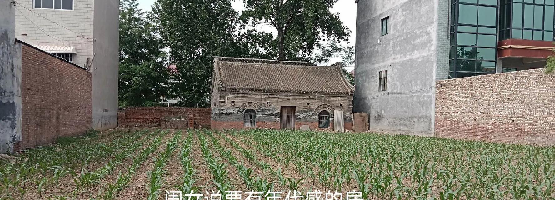 童年记忆：一场永不消逝的旅程