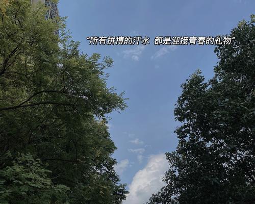 夏天的回忆