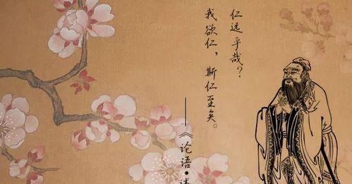 耐心与洞察力的重要性（耐心与洞察力的重要性）