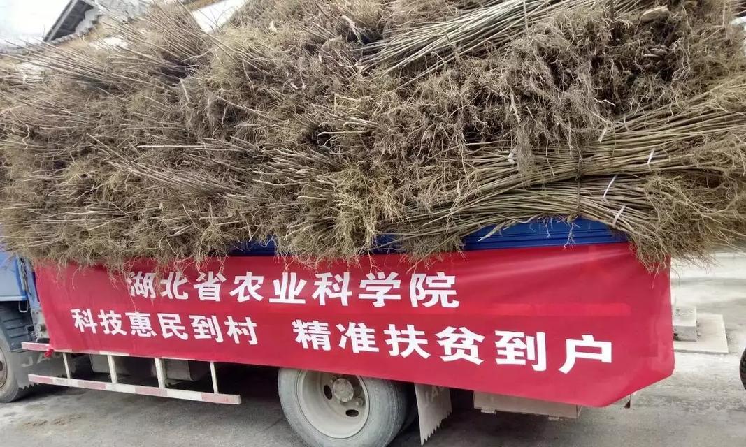 学会低头，铸就辉煌（一个年轻人的成长历程）