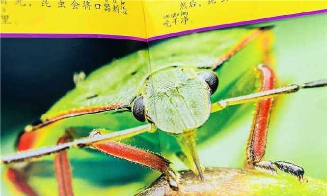 成长因分享而美好（分享，是成长的灵魂）