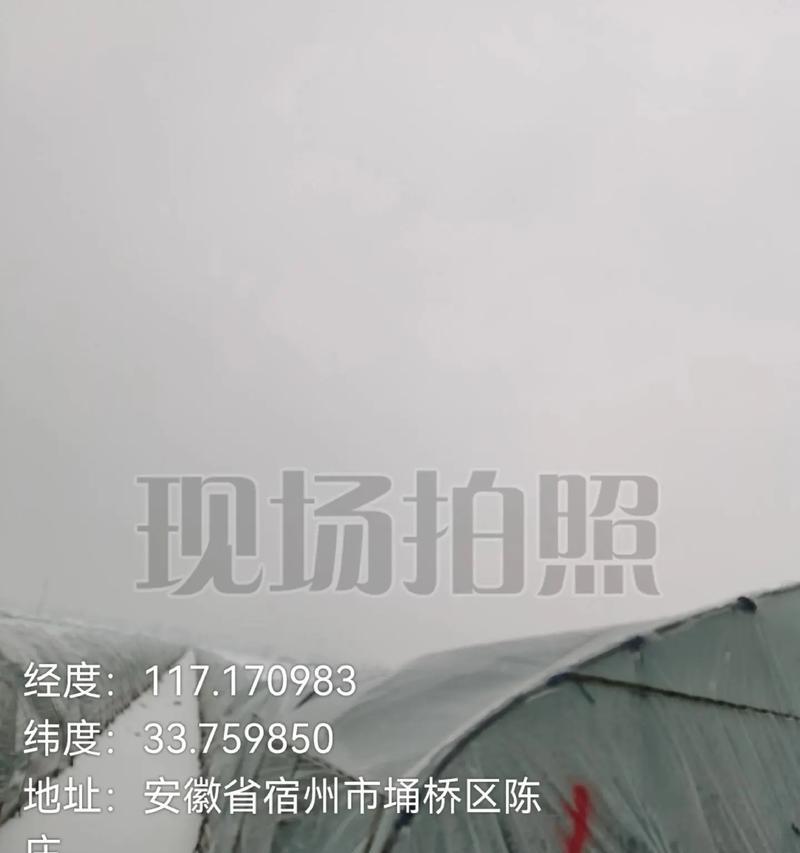 经历风雨，方能见彩虹（一个女孩的成长之路）