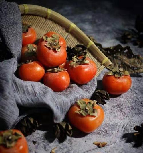 苦难中的成长（苦难中的成长）