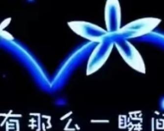 不再斤斤计较（放下心结，拥抱真诚）