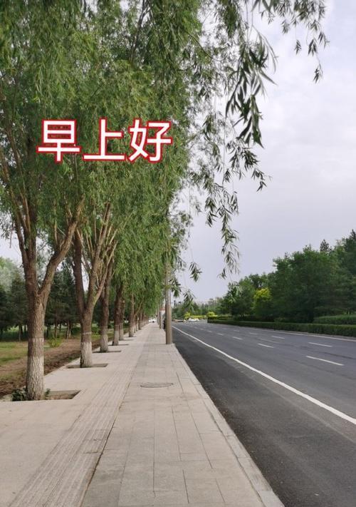 坚持到底，快乐从心（一场小小的冒险）