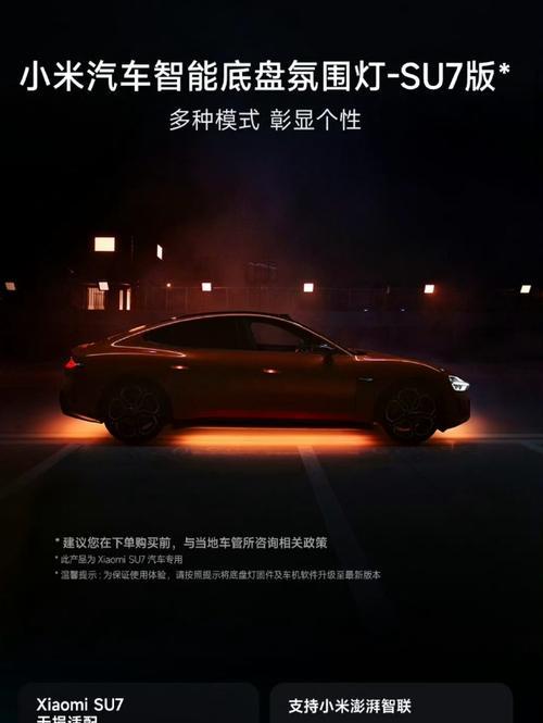 一次意外的相遇（邂逅有缘，感受美好）