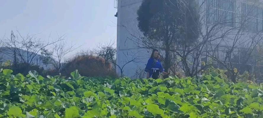 田园生活的美好（走进乡村，感受大自然的呼吸）