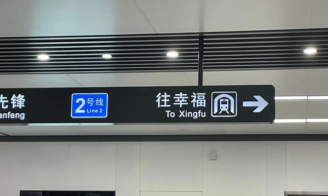 追逐幸福（他们在路上走着）