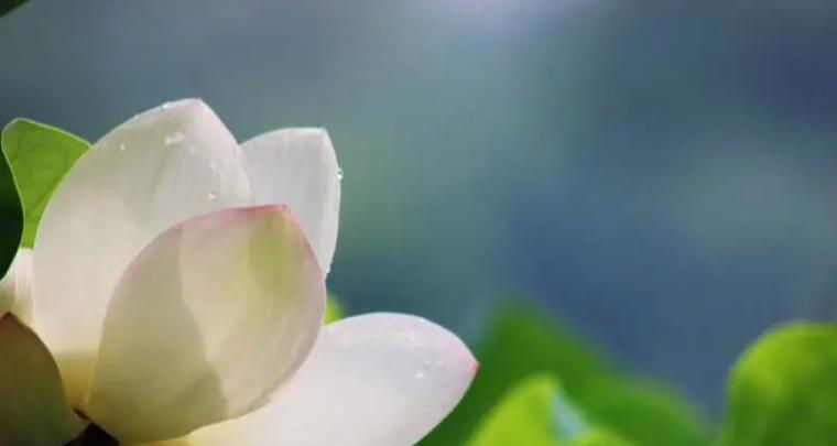 坚持不懈，成功不止（一个孩子的自我修养）