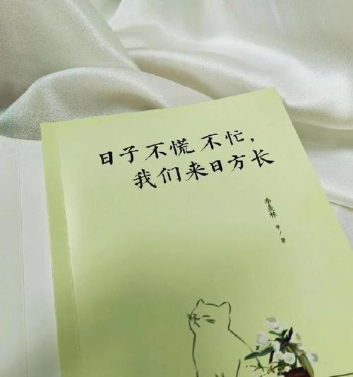 友谊的力量（两位男子的友谊和信任）