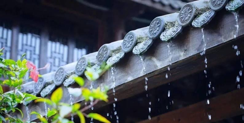 春雨下的甘露（那一场独特的雨夜）