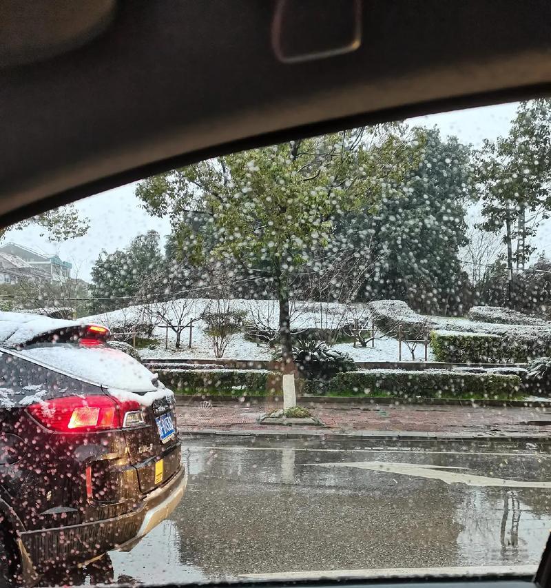 母爱是风雨无阻