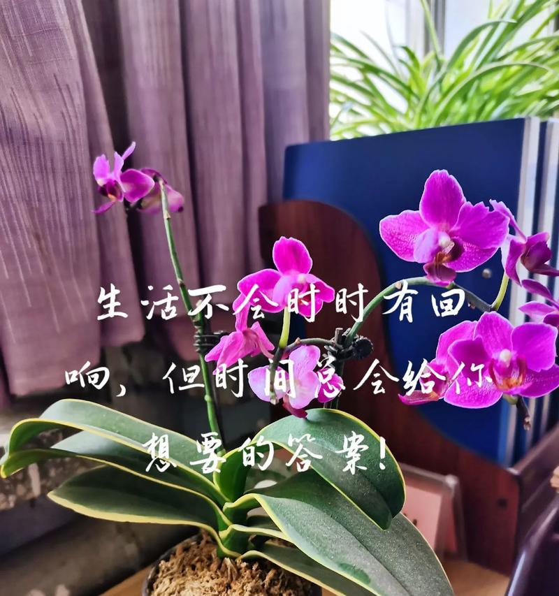 深感被理解的幸福（一个孤独的人和他的遇见）