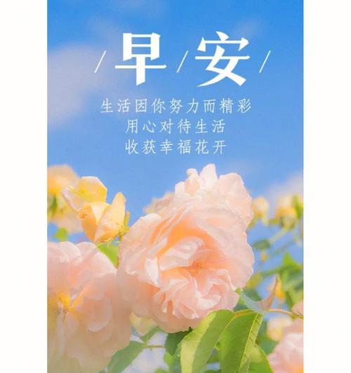 别让“多”成为你的束缚（别让“多”成为你的束缚）