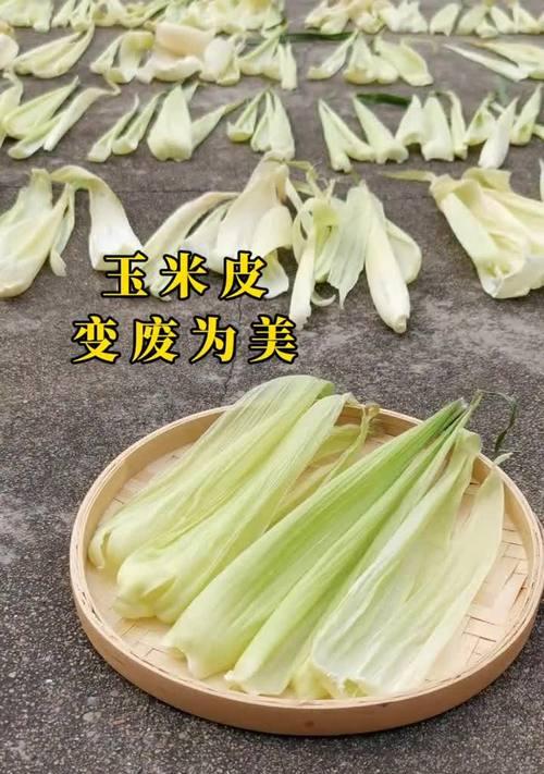 田野的欢声笑语（与自然和谐共处）