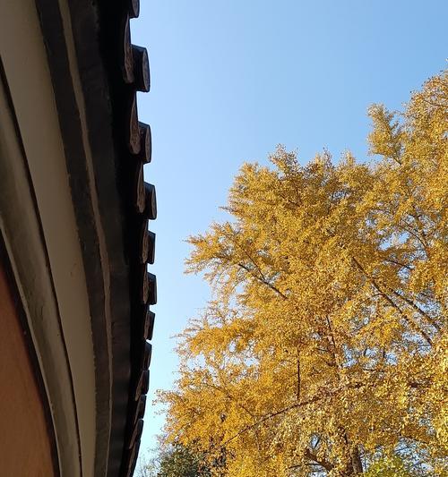 成长路上的分享