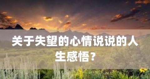 失望的幸福：寻找真正的意义