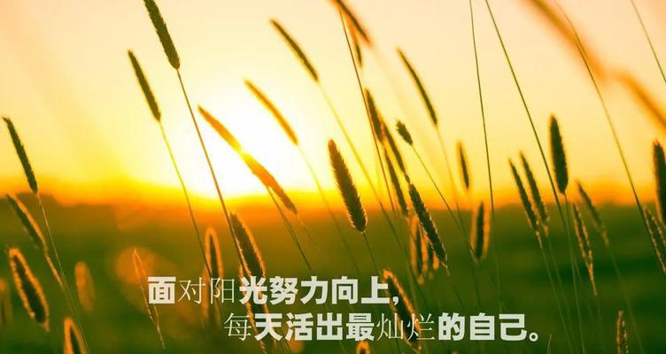 梦想征途：他的执着与决心