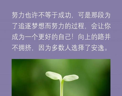 成功路上，最好的努力（从小事做起，从内心努力，成功路上充满荆棘）