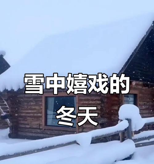 冬夜寻找真相（一个孤独的人在漫长的夜晚里寻找着答案）