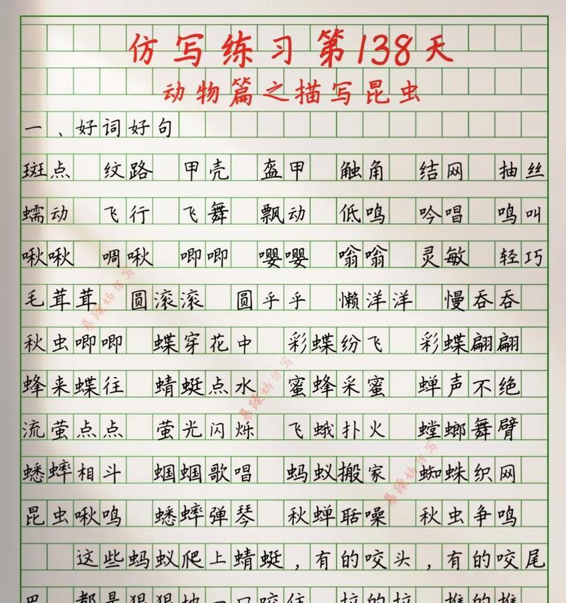 春天里的小昆虫（世界上最神奇的昆虫）