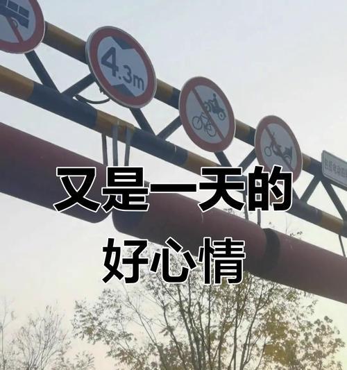 用快乐的心境面对一切（一个少年的成长之路）