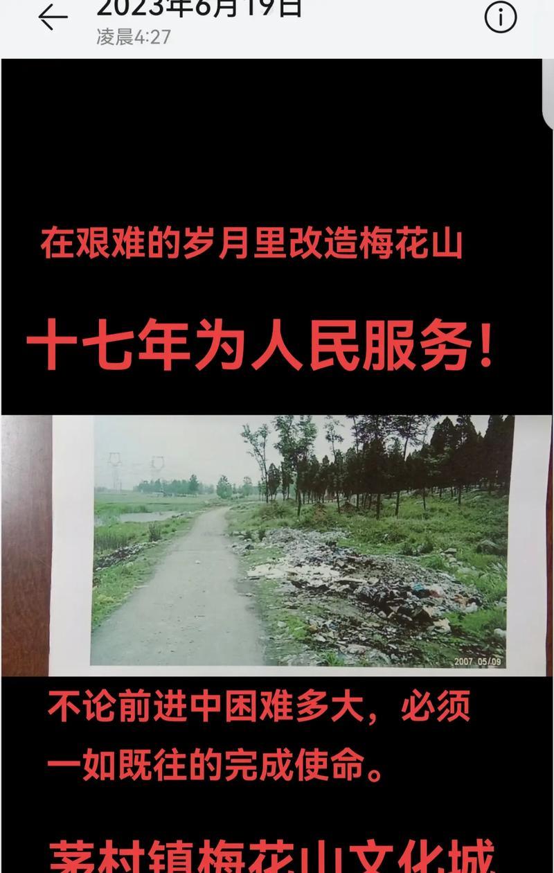 漫漫岁月，谁与同行（艰辛岁月中的坚韧与勇气）