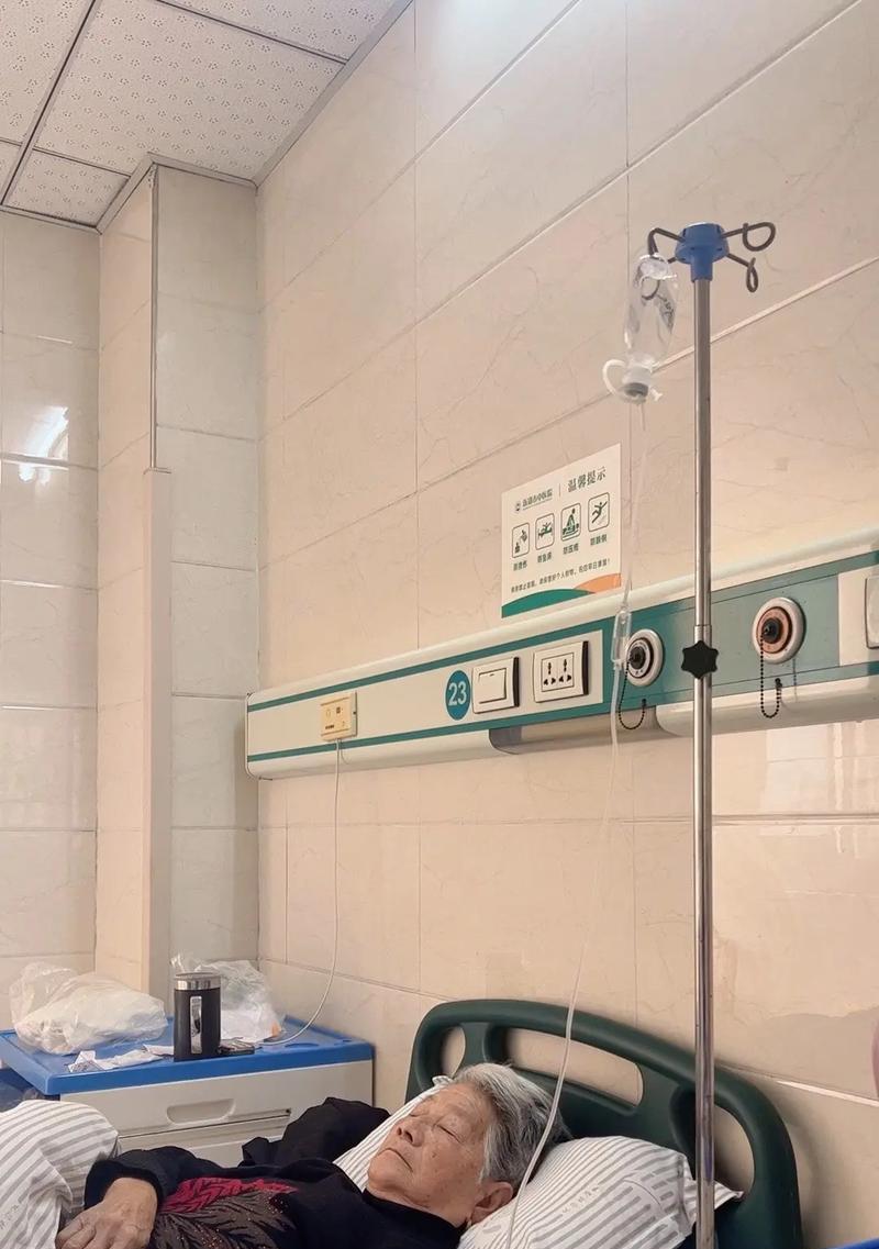 母爱无限（生命的恩赐）