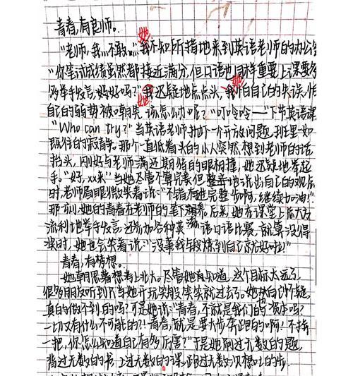 青春的热情（一个年轻人的成长故事）