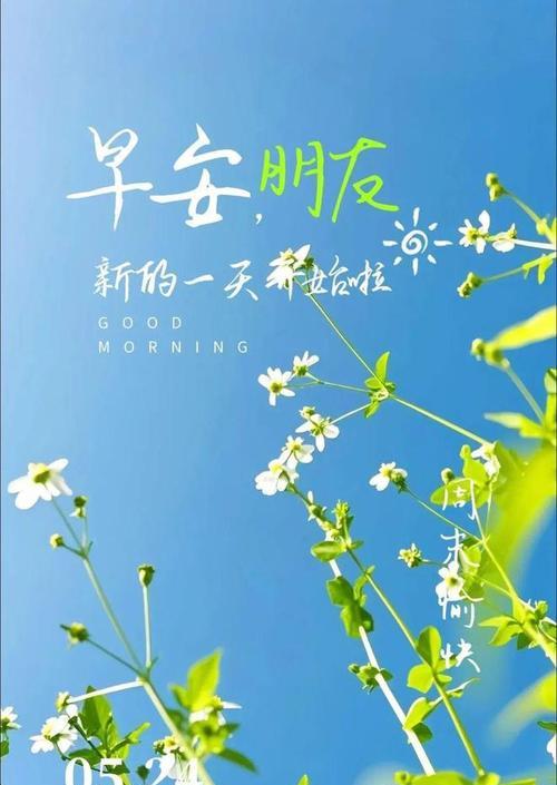 我的幸福惬意生活（细节，让生活更精彩）