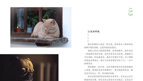 千里之行始于足下（寻找属于自己的幸福）
