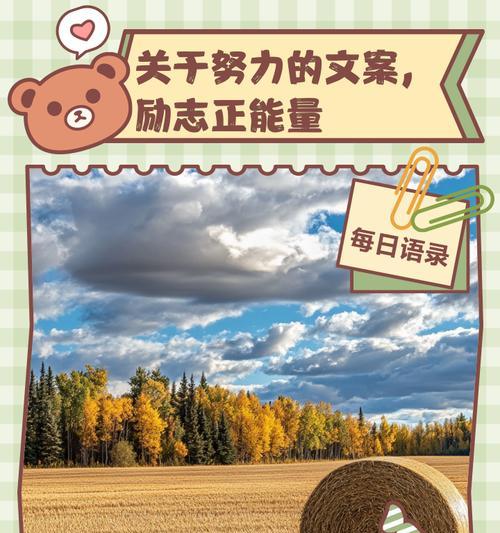 跨越困境，创造奇迹（跨越困境，创造奇迹）