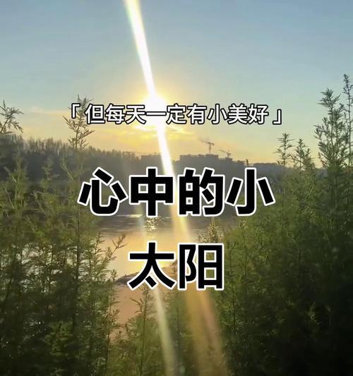 阳光永不凋零（一只小鸟的坚持与成长）